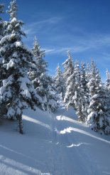 Stuhleck (1782m) - hótalpas túra