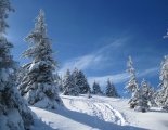 Stuhleck (1782m) - hótalpas túra