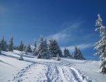Stuhleck (1782m) - hótalpas túra