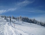Stuhleck (1782m) - hótalpas túra