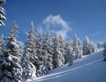 Stuhleck (1782m) - hótalpas túra