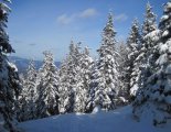 Stuhleck (1782m) - hótalpas túra