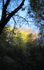 Szádelői-völgy - 2in1 gyalogtúra