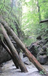 Szlovák Paradicsom