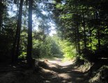 Szlovák Paradicsom - Tamásfalvi-kilátó (680m)