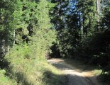 Szlovák Paradicsom - Tamásfalvi-kilátó (680m)