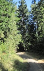 Szlovák Paradicsom - Tamásfalvi-kilátó (680m)