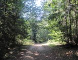 Szlovák Paradicsom - Tamásfalvi-kilátó (680m)