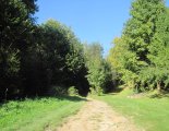 Szlovák Paradicsom - Tamásfalvi-kilátó (680m)