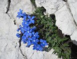 Triglav (2864m)