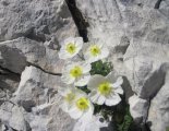 Triglav (2864m)