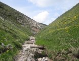 Schneepalpe: Windberg(1903m) - utunk egy gyönyörű, alpesi ösvényen halad