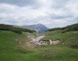 Schneepalpe: Windberg(1903m) - a csúcs előtti fennsík