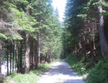 Schneealpe: Windberg(1903m) - Altenberg