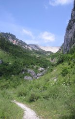 Schneealpe: Windberg(1903m) 