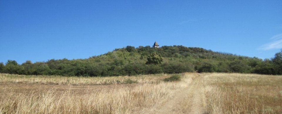 Nordic Walking alapok - gödöllői-dombság