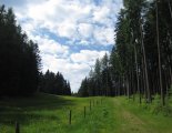 Semmering - Stuhleck(1782m) csúcstúra: gyönyörű alpesi erdő