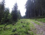 Semmering - Stuhleck(1782m) csúcstúra: gyönyörű alpesi erdő