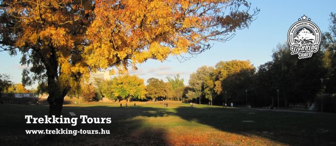 Nordic Walking alaptechnika tanfolyam - szépkorúaknak - Budapest - ősz