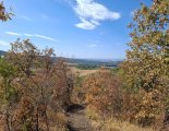 Cserhát - Hollókő - panoráma ösvényei - Nordic Walking túra