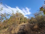 Cserhát - Hollókő - panoráma ösvényei - Nordic Walking túra
