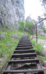 Rax-Alpok: Teufelsbadstubensteig - 3in1 - Nordic Walking túra