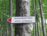 Rax-Alpok: Teufelsbadstubensteig - 3in1 - Nordic Walking túra
