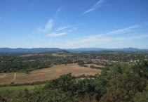 Gödöllői-dombság - panoráma tanösvények - 2in1 túra - tavasz