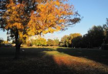 Nordic Walking alaptechnika tanfolyam - szépkorúaknak - Budapest - ősz